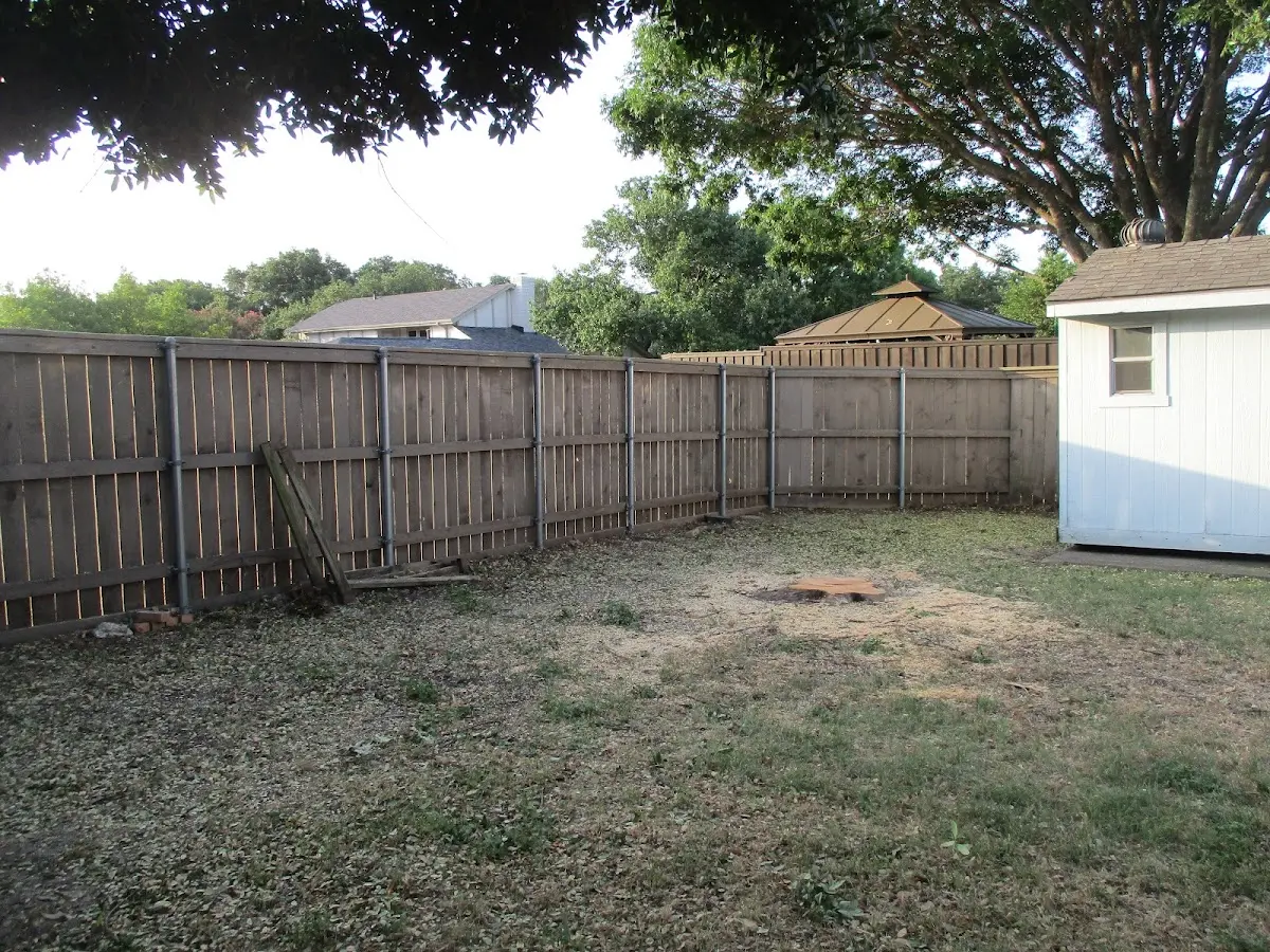 Cleared yard after professional tree removal in Mamaroneck