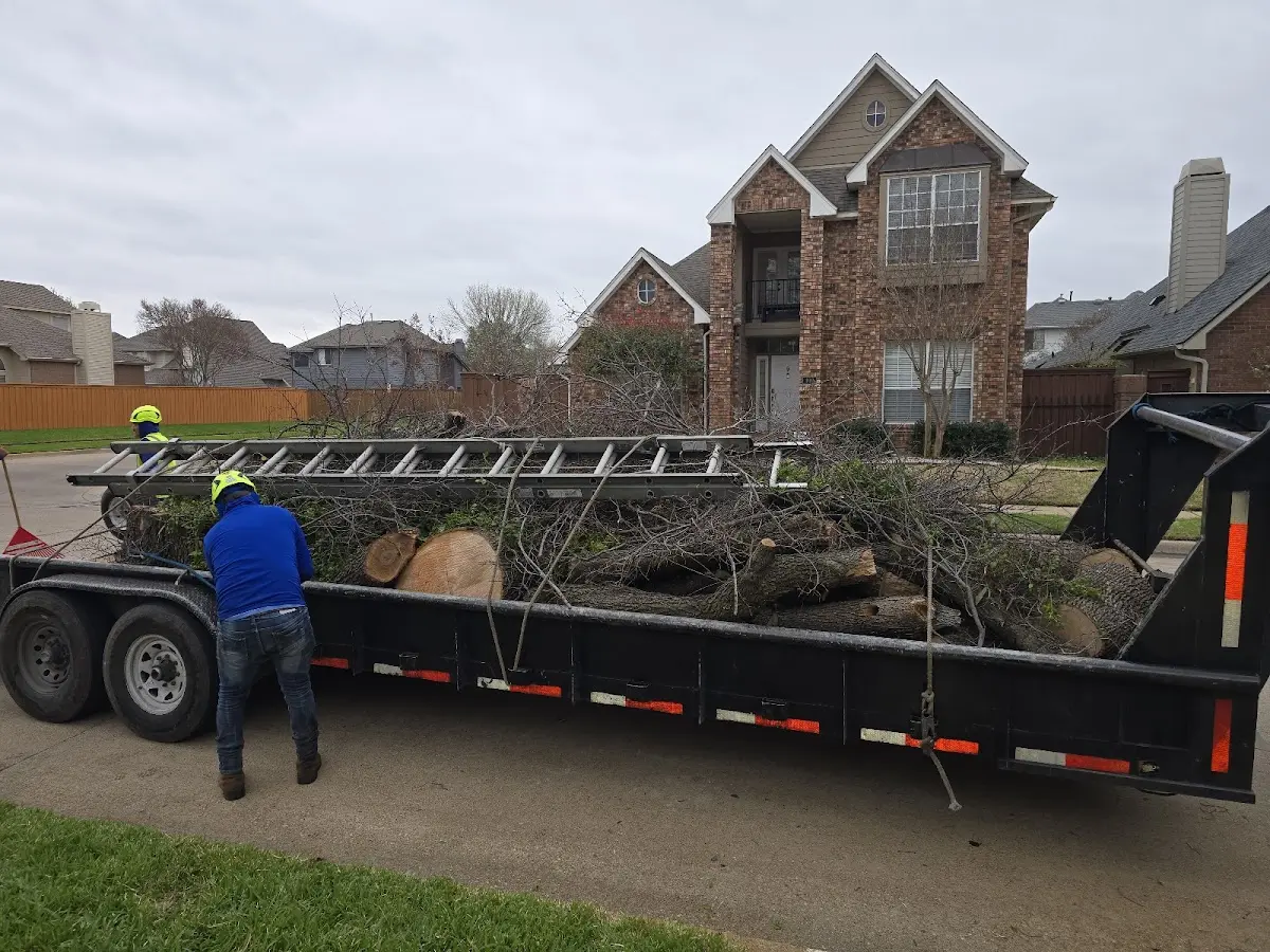 Expert Tree Fertilization with proper safety equipment in Mamaroneck